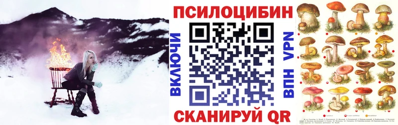 Псилоцибиновые грибы GOLDEN TEACHER  закладки  kraken онион  Котово 